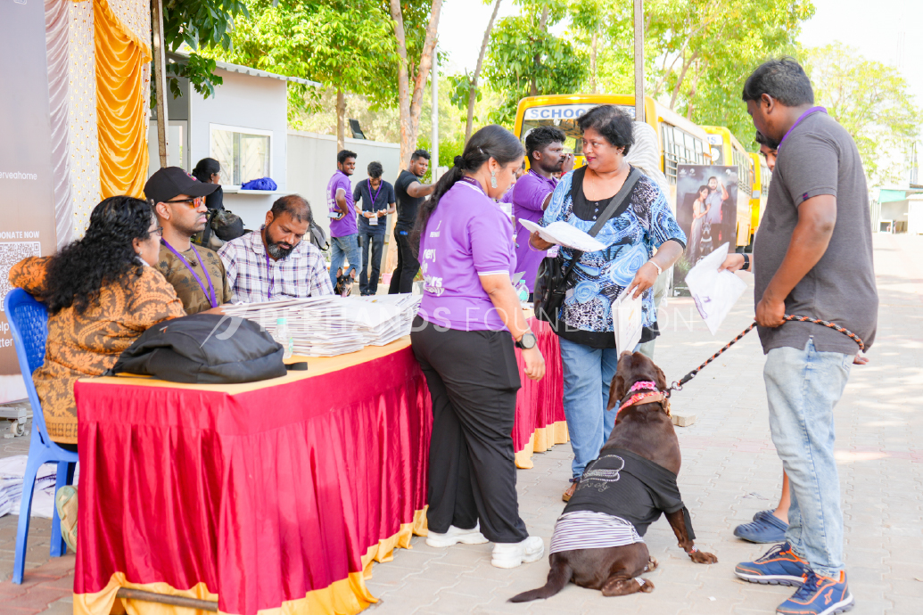 Hospitality for Pets & Pet Parents